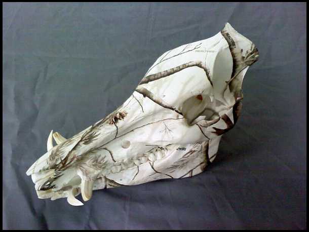 Camo Deer Skull Mount