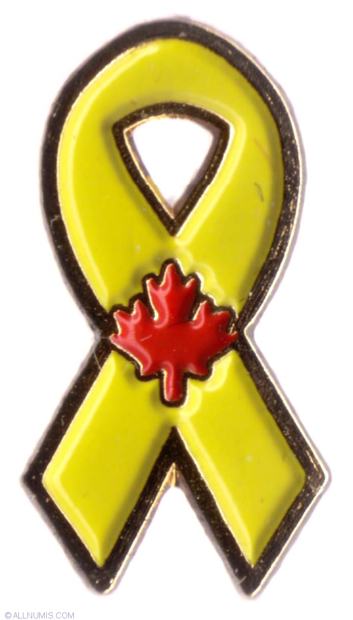 Canadian Support Our Troops Ribbon