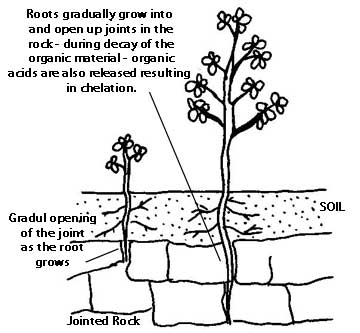 Carbonation Weathering Diagram