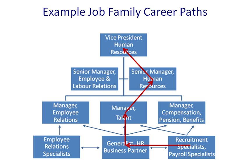 Career Path Planning Example