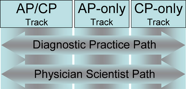 Career Path Planning Example