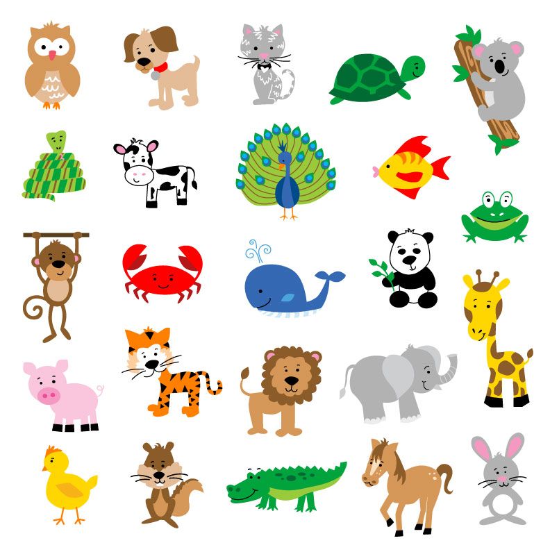 Cartoon Animals