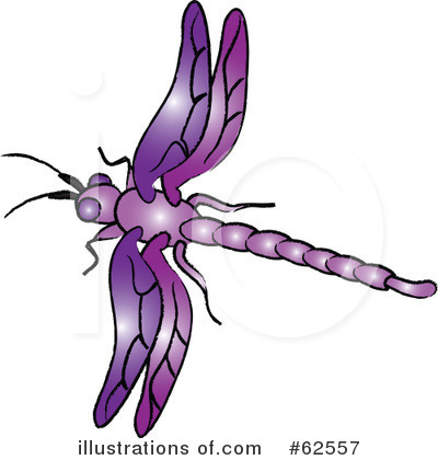 Cartoon Dragonfly Clipart