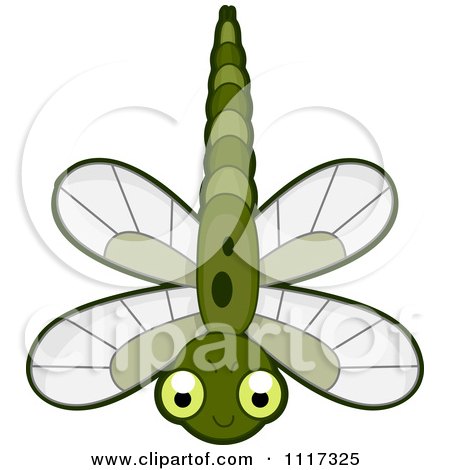 Cartoon Dragonfly Clipart