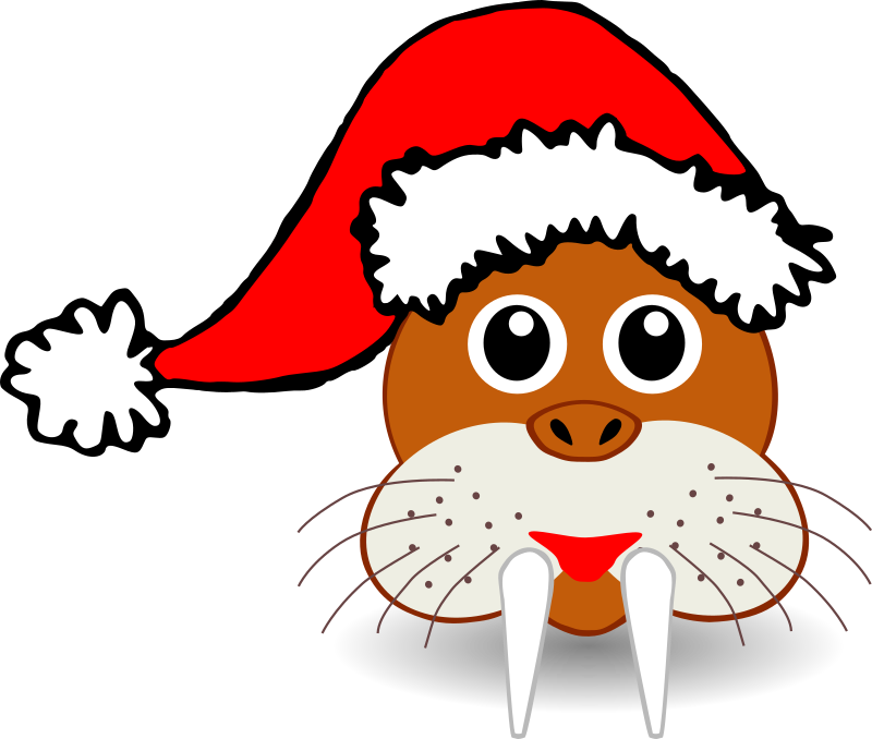 Cartoon Santa Claus Hat