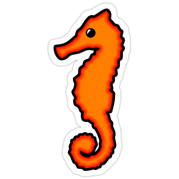 Cartoon Seahorse Pictures