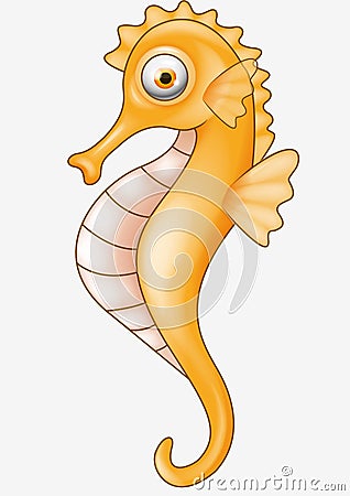 Cartoon Seahorse Pictures