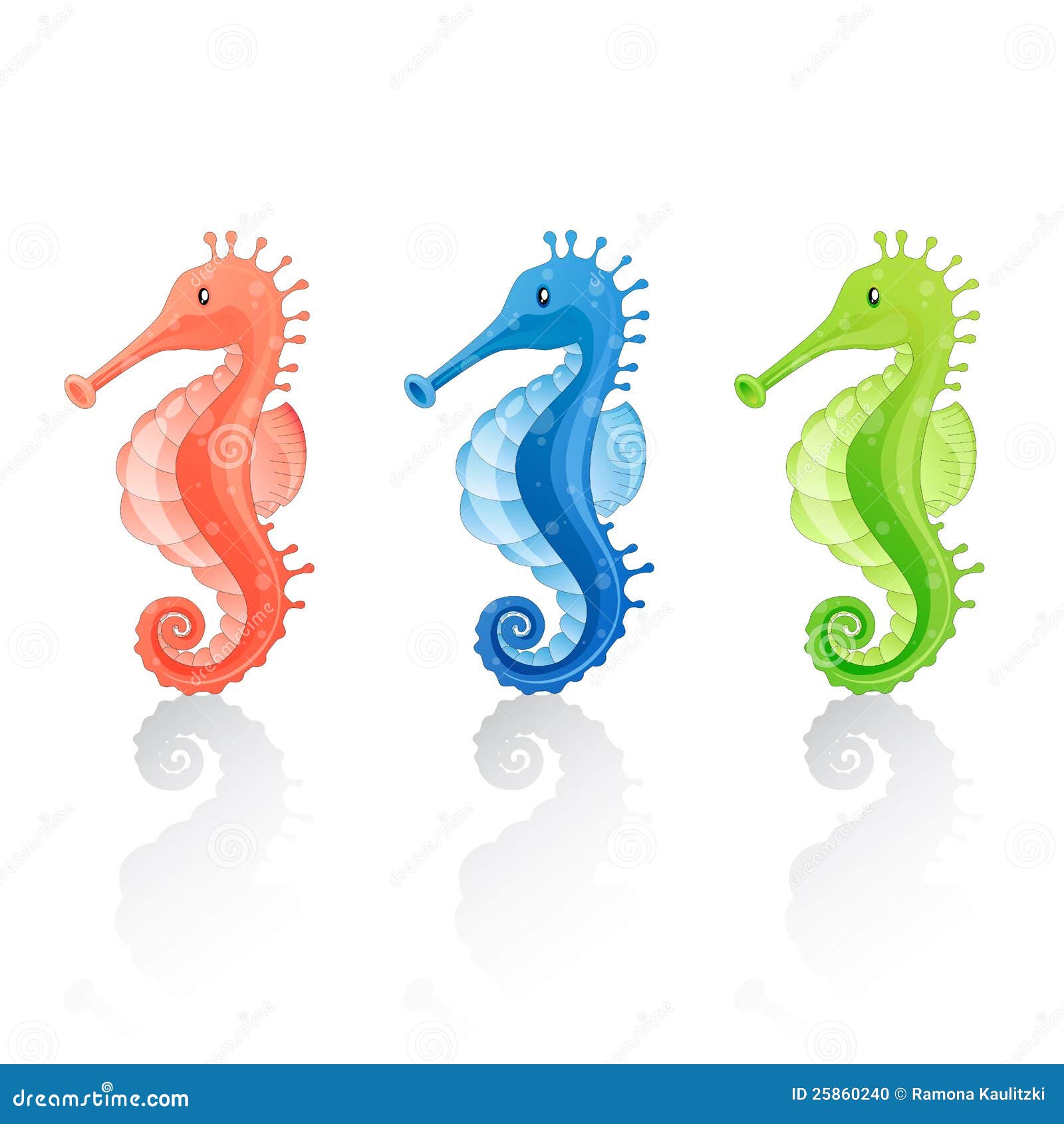 Cartoon Seahorse Pictures