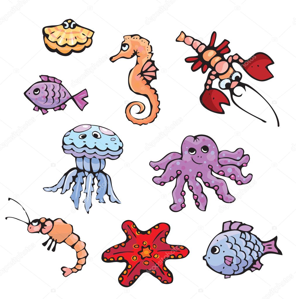 Cartoon Seahorse Pictures