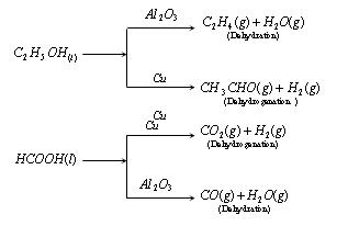 Catalyst Reaction Example