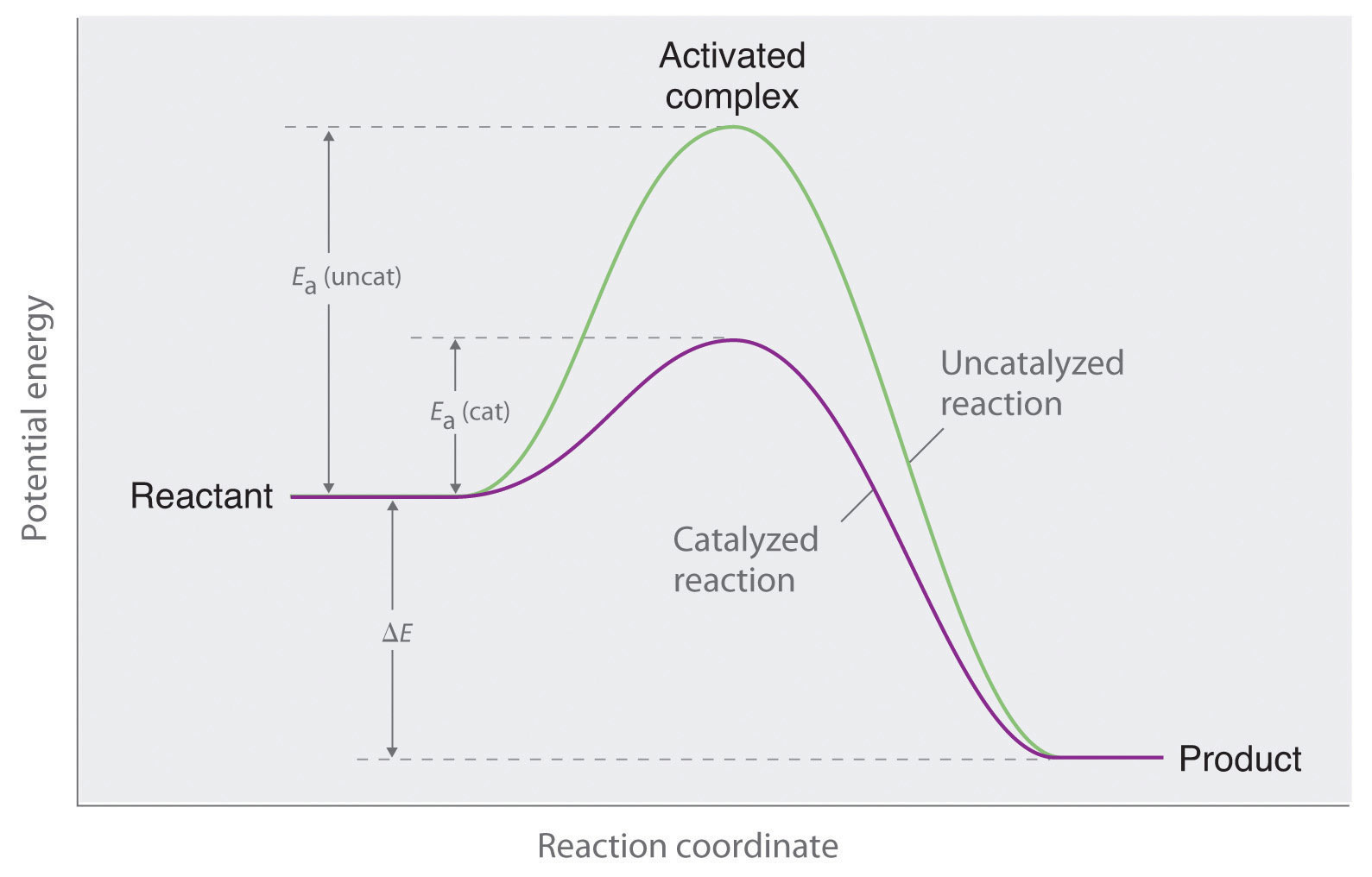 Catalyst Reaction Graph