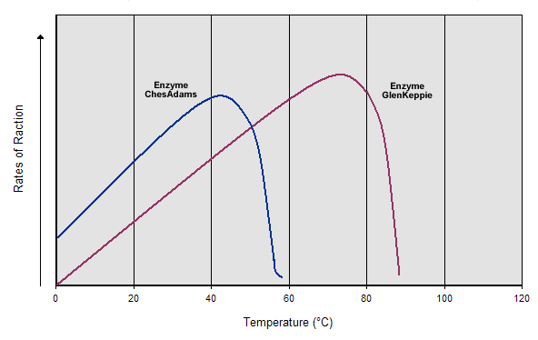 Catalyst Reaction Graph