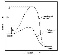 Catalyst Reaction Rate