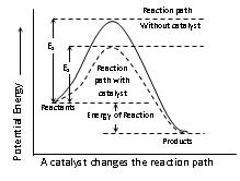 Catalyst Reaction Rate