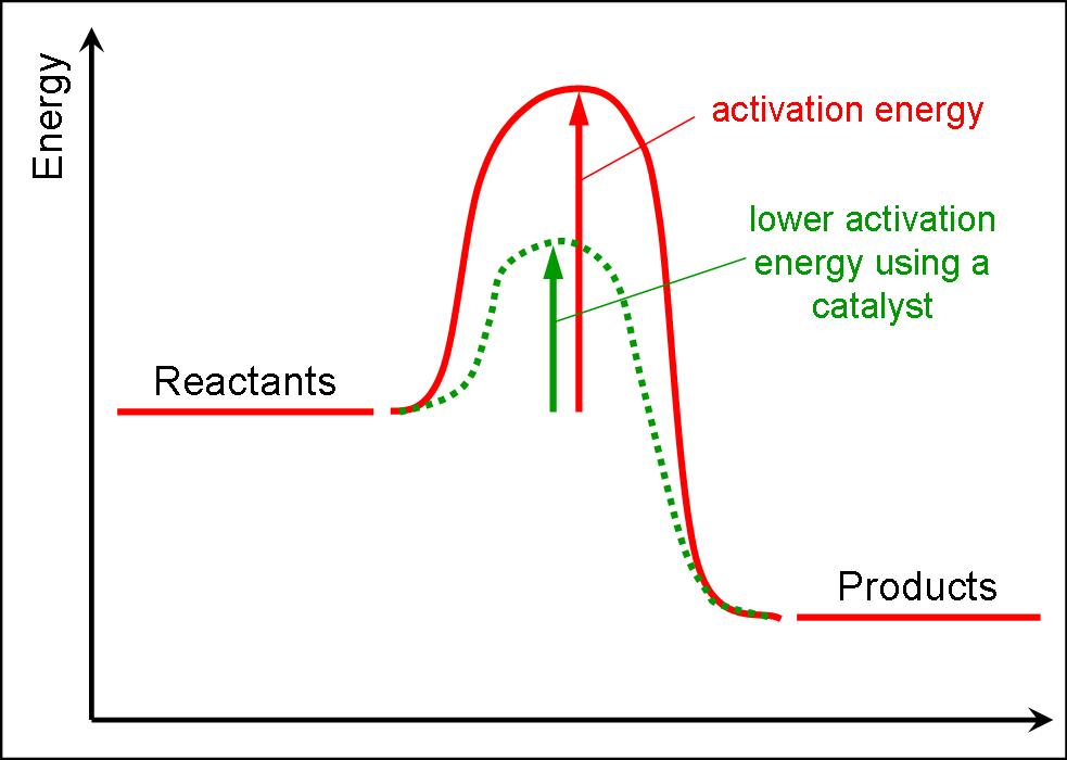 Catalyst Reaction Rate