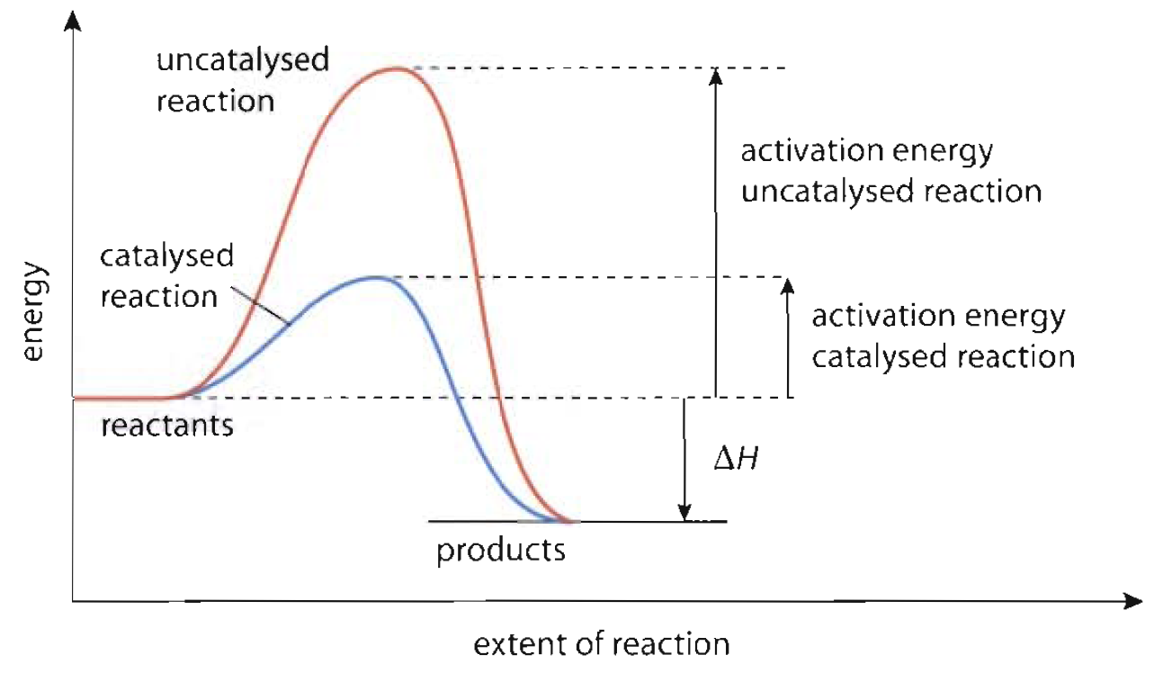 Catalyst Reaction Rate