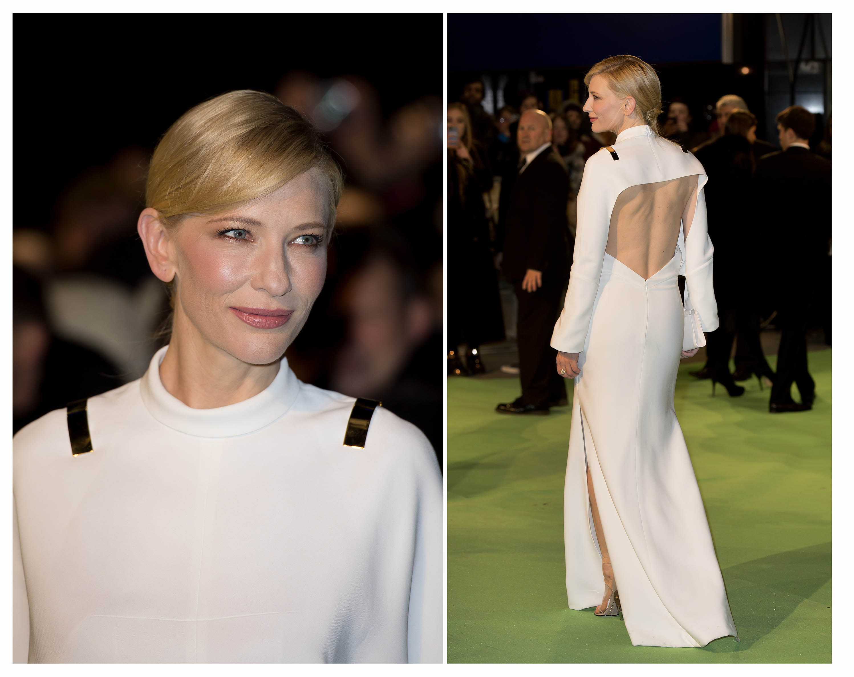 Cate Blanchett Hobbit Dress