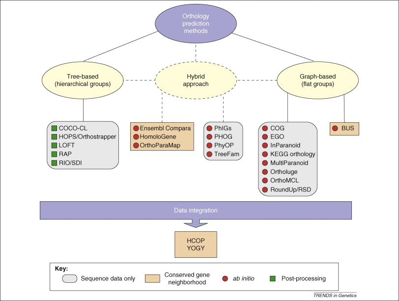 Categories Of Classification In Order