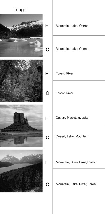 Categories Of Classification In Order