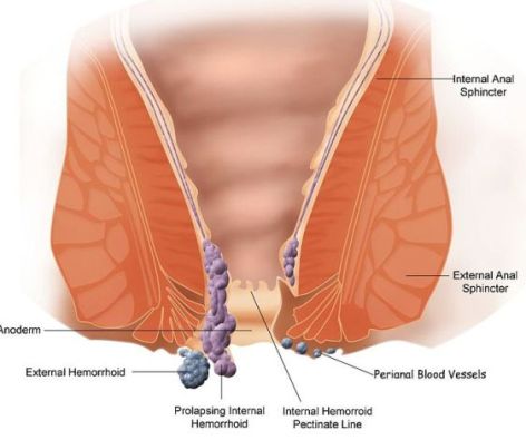 Categories Of Drugs During Pregnancy