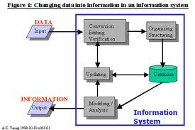 Categories Of Information System