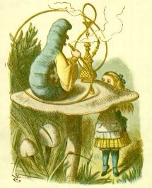 Caterpillar Alice In Wonderland Quotes