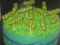 Caterpillar Cake Pops