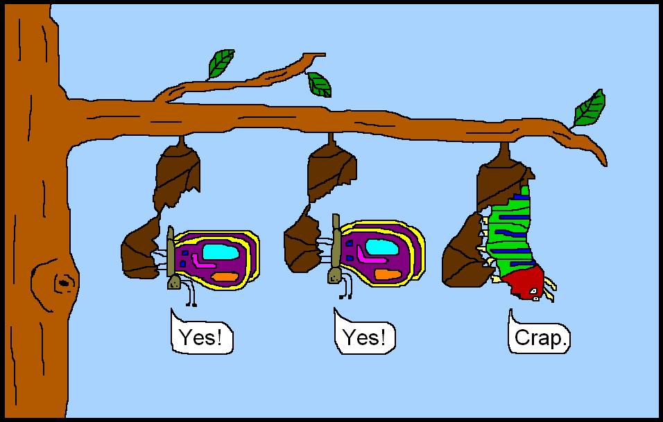 Caterpillar Cartoon Pictures