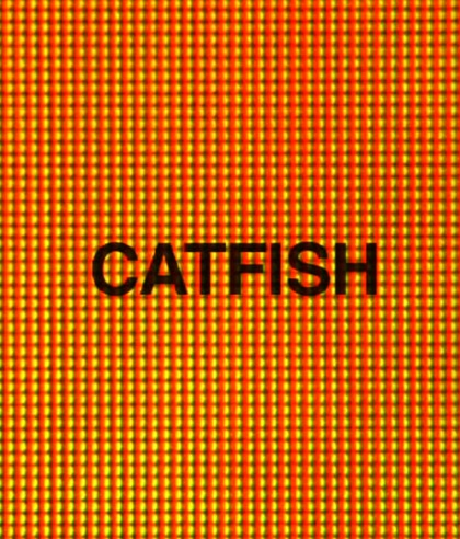 Catfish Documentary Online Youtube