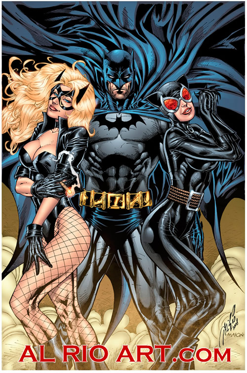 Catwoman And Batman Comic