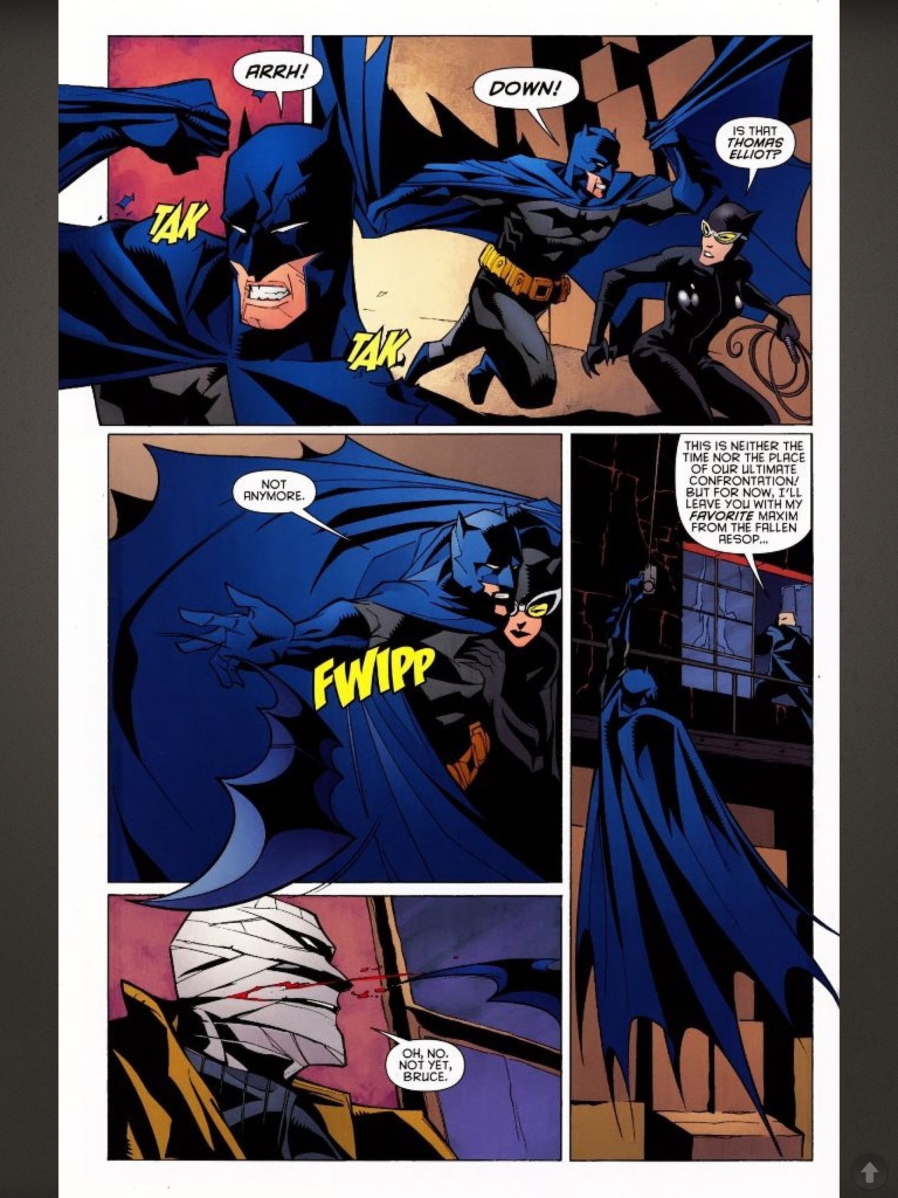 Catwoman And Batman Kissing