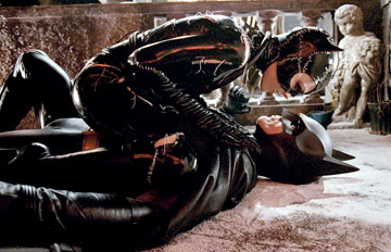 Catwoman And Batman Romance