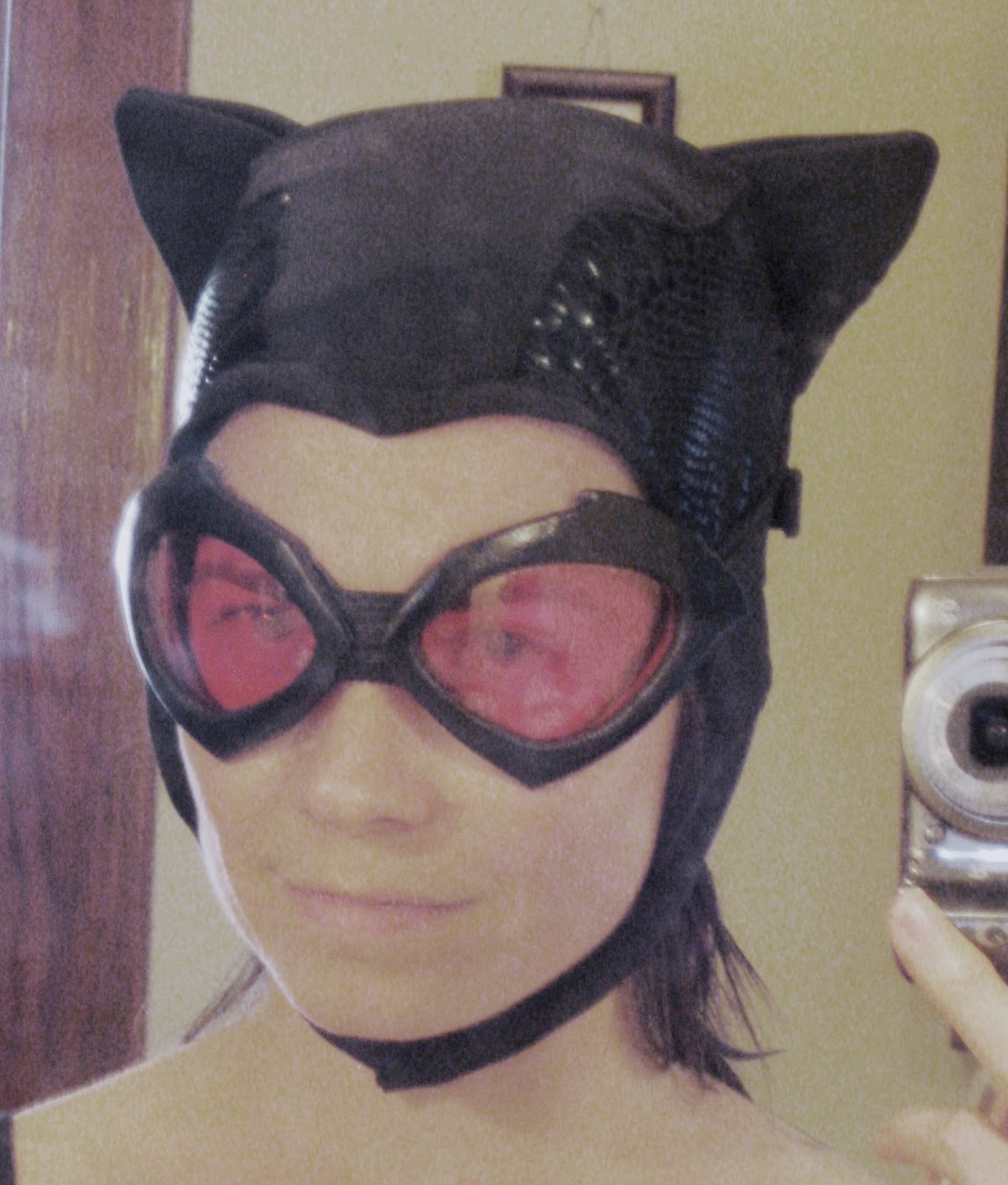 Catwoman Arkham City Cosplay