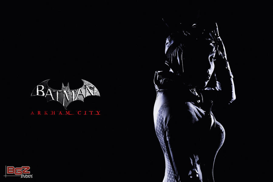 Catwoman Arkham City Costume