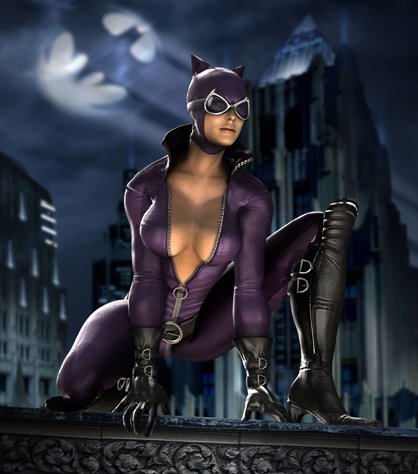 Catwoman Arkham City Costume For Sale