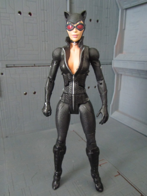 Catwoman Arkham City Game