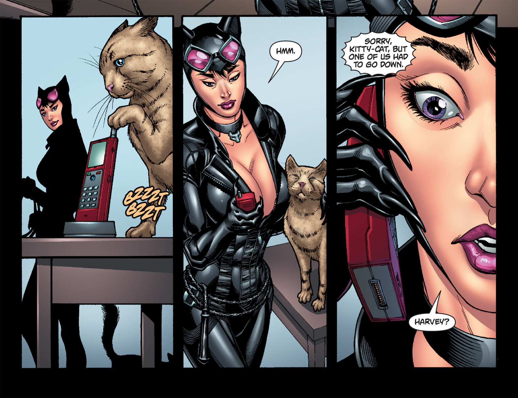 Catwoman Arkham City Hot