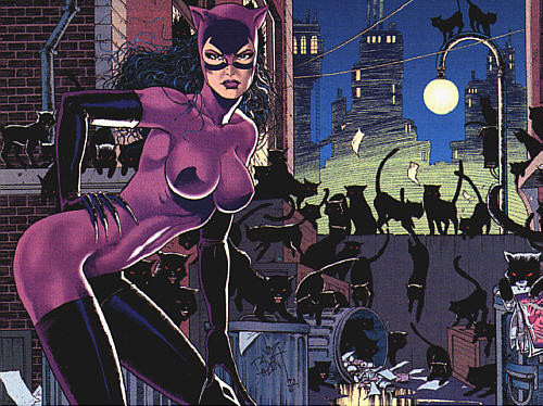 Catwoman Costume Arkham City