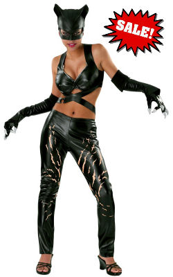 Catwoman Costume Halle Berry