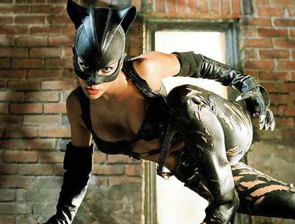 Catwoman Halle Berry Costume