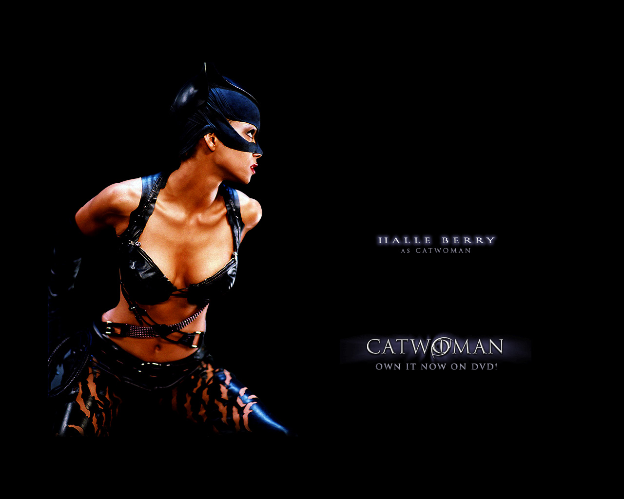 Catwoman Halle Berry Hair