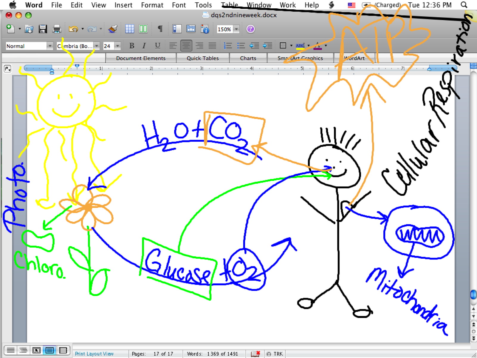 Cellular Respiration Products And Reactants