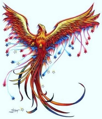 Celtic Phoenix Tattoo Images