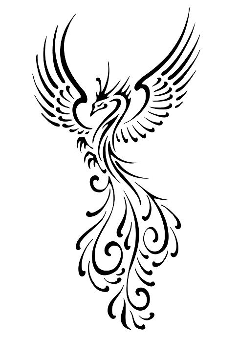 Celtic Phoenix Tattoo Images