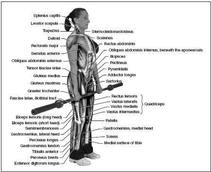 Ch Deadlift