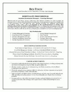 Chartered Accountant Cv Example