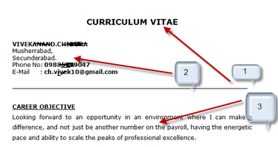 Chartered Accountant Cv Format