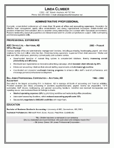 Chartered Accountant Cv Format