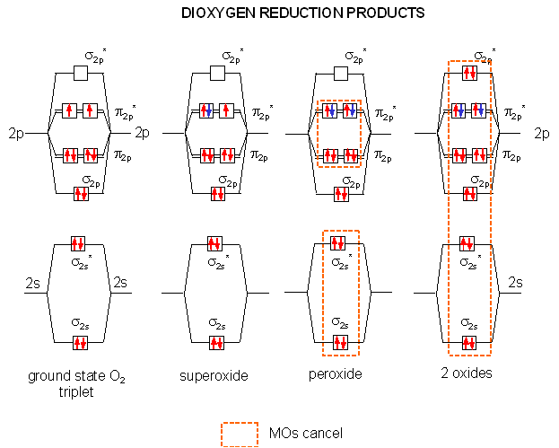 Chemical Properties Of Metals And Nonmetals Reaction With Oxygen