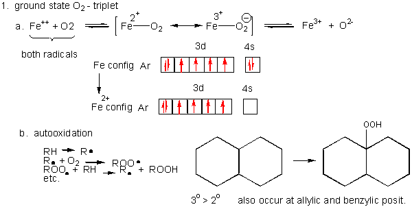 Chemical Properties Of Metals And Nonmetals Reaction With Oxygen